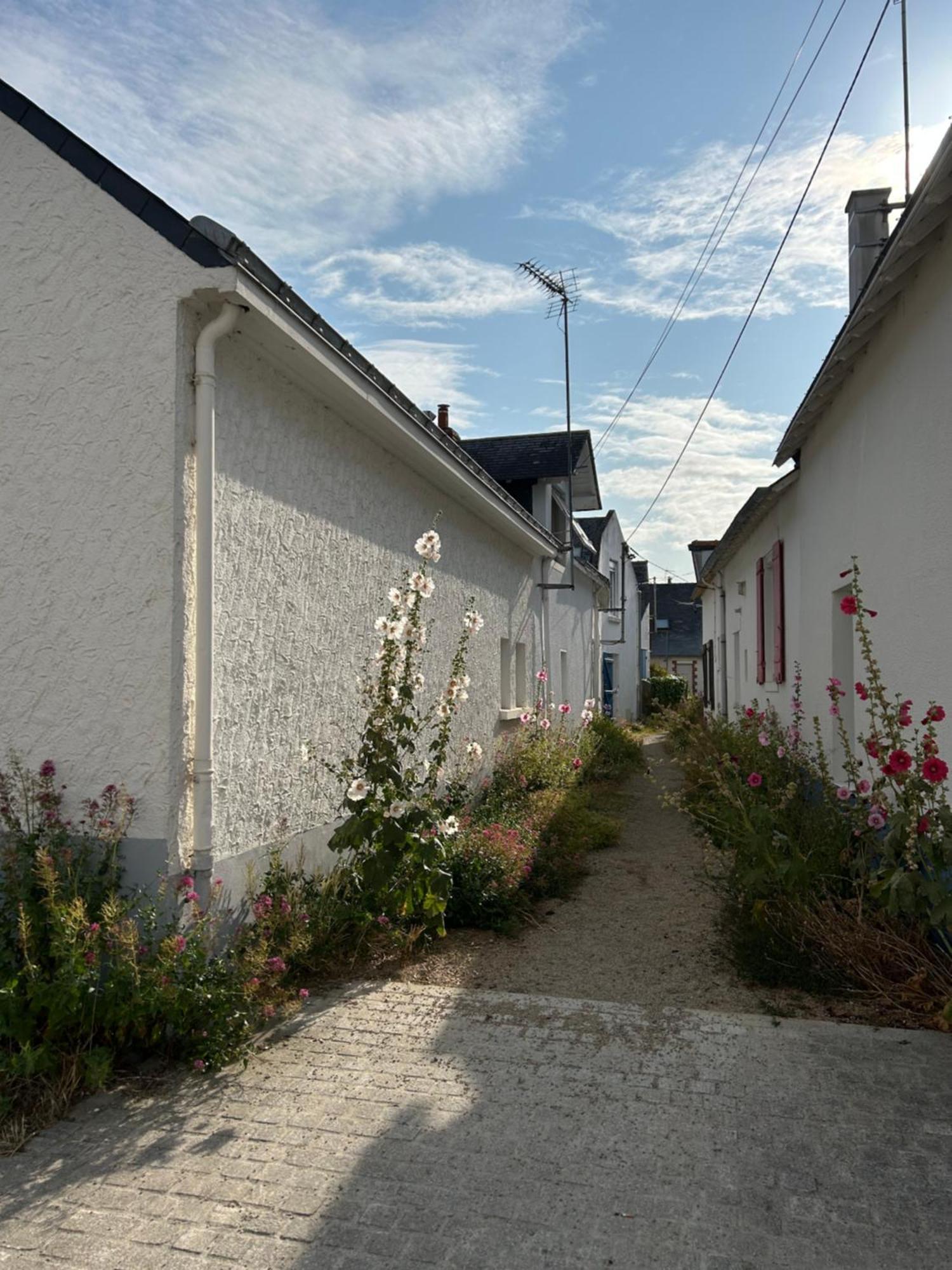 Villa En Bord De Mer Pornichet Zewnętrze zdjęcie